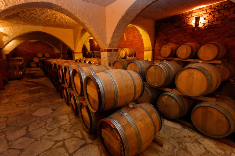 Vine cellar on Pelješac, Croatia